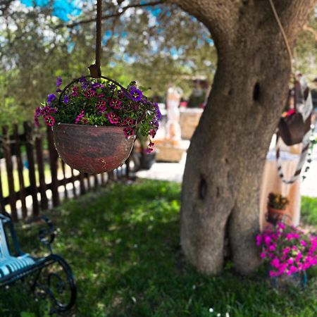 Agriturismo Le Faeta アルピーノ エクステリア 写真