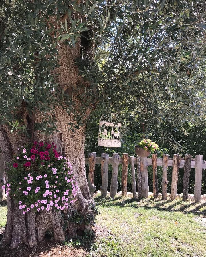 Agriturismo Le Faeta アルピーノ エクステリア 写真