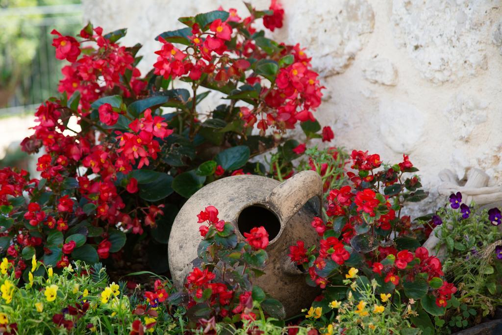 Agriturismo Le Faeta アルピーノ エクステリア 写真